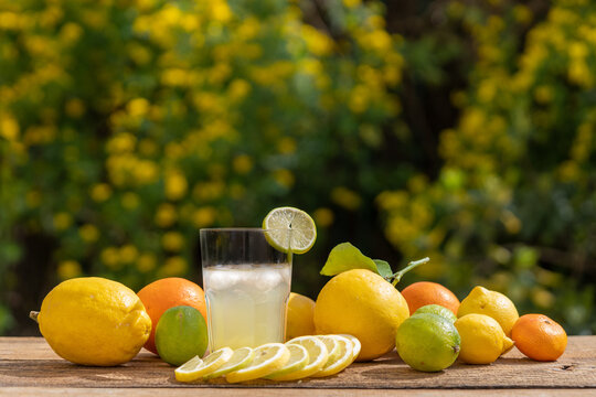 des agrumes et un verre remplis de jus de citron pressé avec des rondelles 