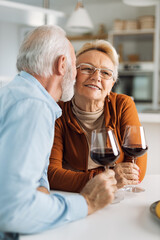 Loving senior couple communicating while drinking wine at home