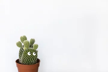Crédence de cuisine en verre imprimé Cactus Petit cactus de figue de barbarie avec des yeux dans un pot marron sur fond blanc, espace de copie. Vue de face. Concept beauté de la nature, jungle urbaine, jardinage domestique, floriculture. Maquette de style minimal. Horizontal