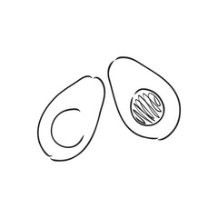 Avocado. Contour illustration. Exotic fruit in woodcut style. Isolated vector on white background.