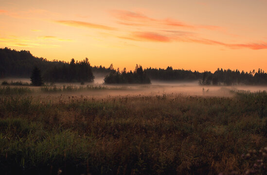 fog over fields © Ekaterina Bakuta