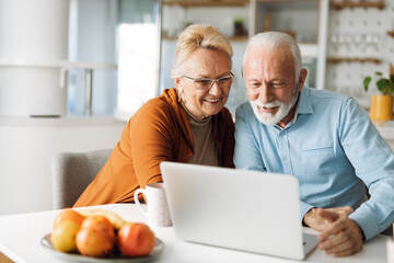 Happy mature couple using laptop at home