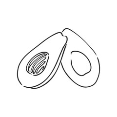 Avocado. Contour illustration. Exotic fruit in woodcut style. Isolated vector on white background.