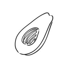 Avocado. Contour illustration. Exotic fruit in woodcut style. Isolated vector on white background.