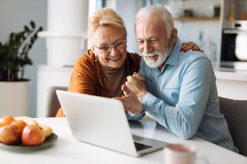 Embraced mature couple surfing the Internet on laptop at home