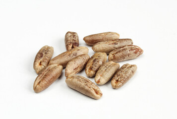 Group of date seeds isolated on white background