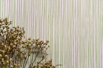 dry white flowers on a white background in green strip