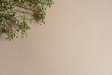 Obraz na płótnie Canvas dry white flowers on a pale pink background