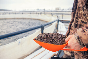Fish farm worker holds scoop of pelleted feed for feeding rainbow trout and salmon