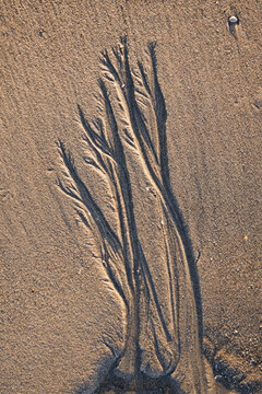  Natural Sand Sculptures On The Beach.