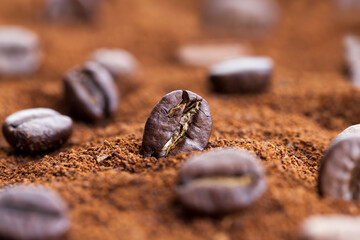 roasted coffee beans