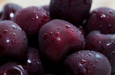 harvested sweet cherries in water droplets