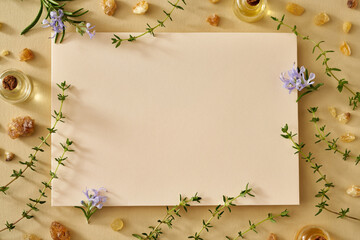 Bottles of essential oil with frankincense, thyme and blooming rosemary on beige paper background with copy space