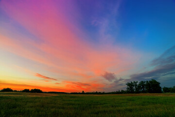 Fototapeta na wymiar Summer sunset over the field