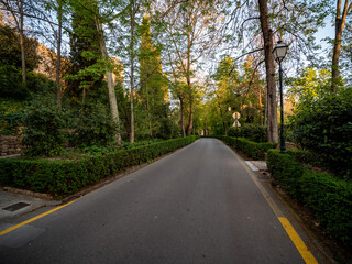 Alhambra Park, Granada, Spain

