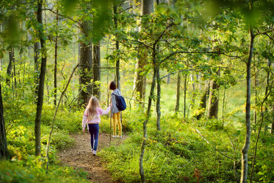 Two Cute Young Sisters Having Fun During Forest Hike On Beautiful Summer Day. Children Exploring Nature. Active Family Leisure With Kids.