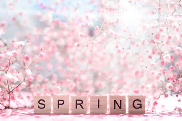 Word SPRING made of wooden letters with light and airy pink blossoms background
