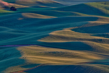 Rolling wheat fields as seen from above Steptoe Butte State Park, Washington State