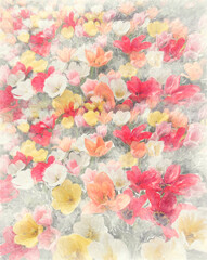 Colorful tulip flowers watercolor. Digital illustration.