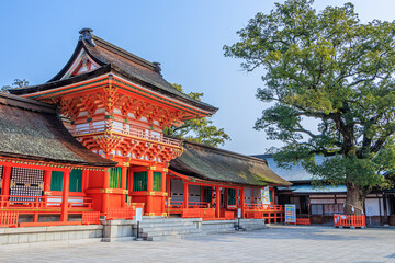 春の宇佐神宮　大分県宇佐市　Usazinguu in spring Ooita-ken Usa city