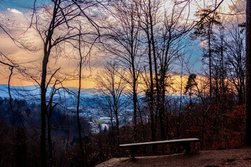 Beautiful view with bench in the park