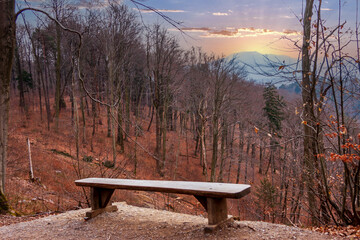 Beautiful view with bench in the park