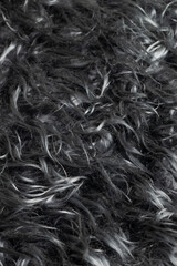 Background of the carpet is made of natural sheepskin. Blue sheep fur. Selective focus.
