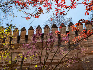 Alhambra Park and the outer wall