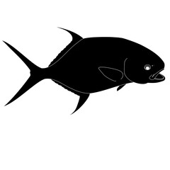 Permit Fish Silhouette 