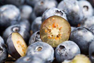 harvested fresh and tasty blueberries cut in half