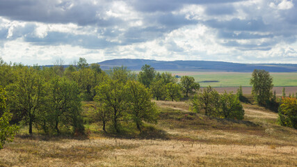 Fototapeta na wymiar The Bugulma-Belebey Upland, the North-East of the Samara region.