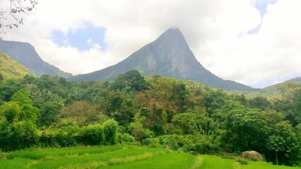 Fototapeta premium landscape