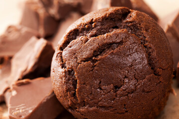 pieces of large natural real chocolate and chocolate cake