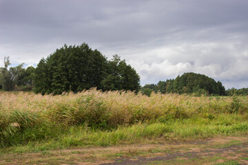 Fototapeta premium The Bugulma-Belebey Upland, the North-East of the Samara region.