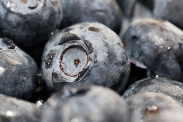 blueberries can be eaten raw