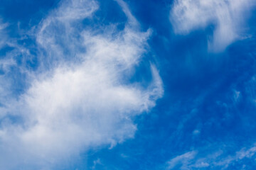 Fototapeta premium blue sky with lots of clouds