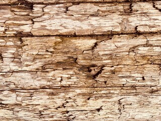 Appealing background from rough surface of old wood. 