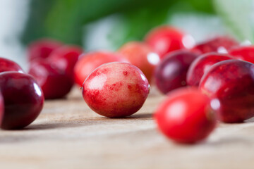 homemade cranberries grown in an industrial garden