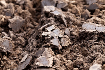 close-up photo of sand and soil