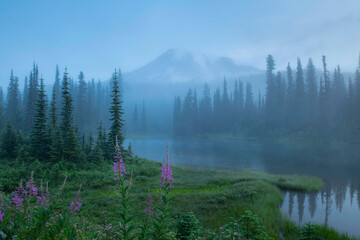 Mt. Rainier, morning fog, Reflection Lake, Mt. Rainier National Park, Washington State.