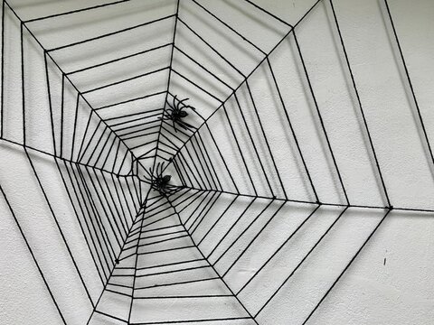 Spiderwebs Background