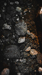 wall
