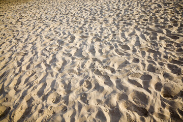 close-up photo of sand and soil