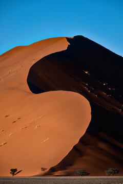 Dune 45 Contrast Profile In Namib Desert In Namibia