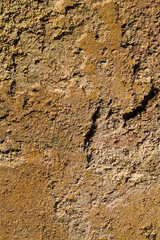 close-up photo of sand and soil