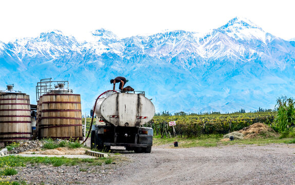 Argentina, Valle de Uco, viticulture on the edge of the Andes
near Mendoza.