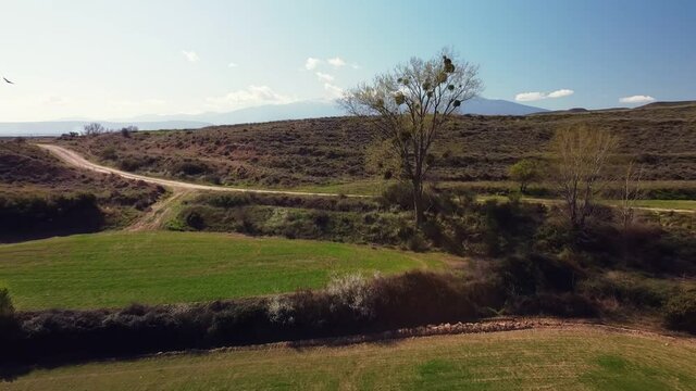 Drone aerial view in Spain across countryside from a tree with nest to Moncayo snow mountain landscape