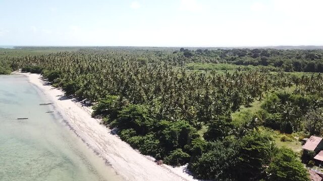 BEACH MORERE - BAHIA