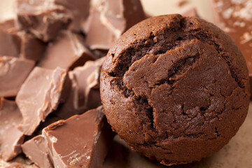 pieces of large natural real chocolate and chocolate cake
