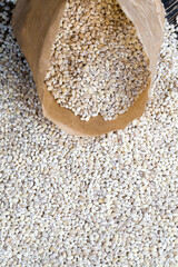 raw grain of pearl barley